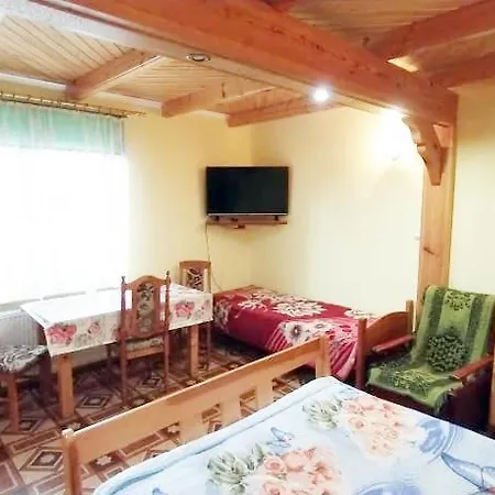 Letni , Ogrzewany, Z Bilardem 롯지 *